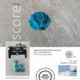 /album/a4/rosa-jpg/